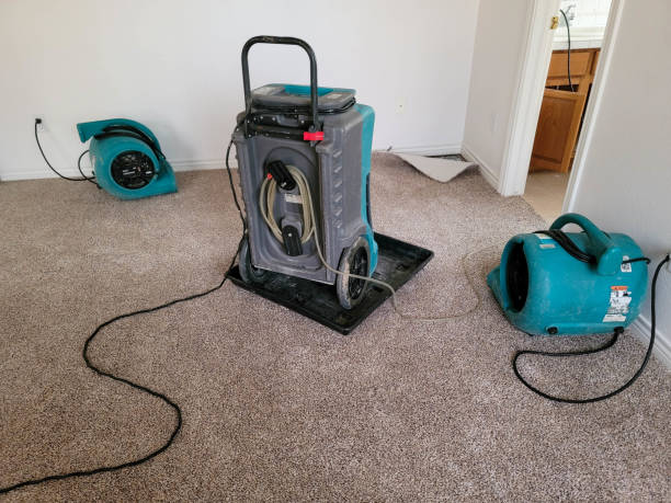 Best Commercial water damage restoration  in Port Angeles East, WA
