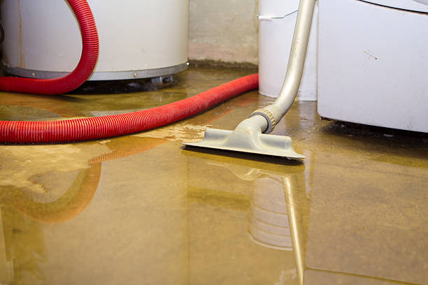 Sewage cleanup and water damage restoration in WA